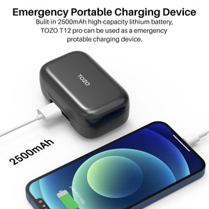 TOZO T12 Pro